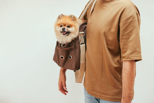Dog Carrier with Leg Holes: Safety, Fit & Comfort Guide