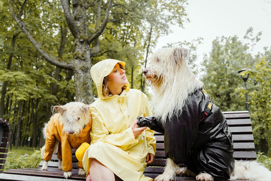 Water-Resistant vs Waterproof Dog Coat: What's the Real Difference?