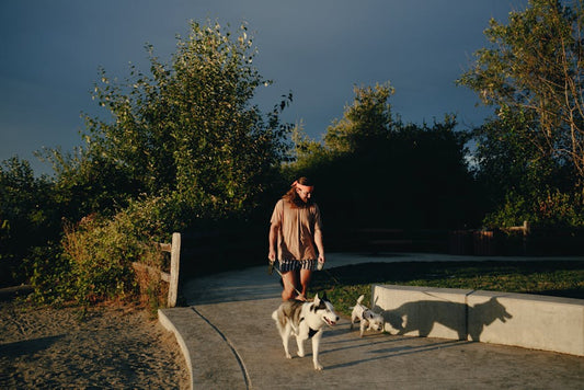 What Temperature Is Too Hot to Walk a Dog? (Safety Guide + Chart)