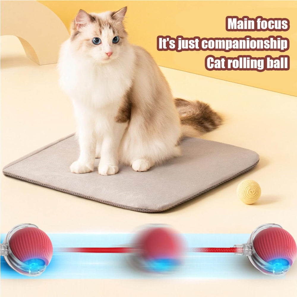 Electric Dog Cat Ball Toy,Indoor Large And Small Cat Dog Interactive Intelligent Rolling Pet Ball
