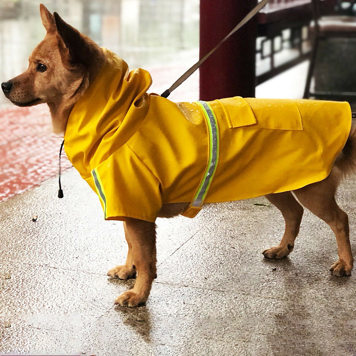 Hooded Dog Raincoat with Reflective Stripe & Leash Hole
