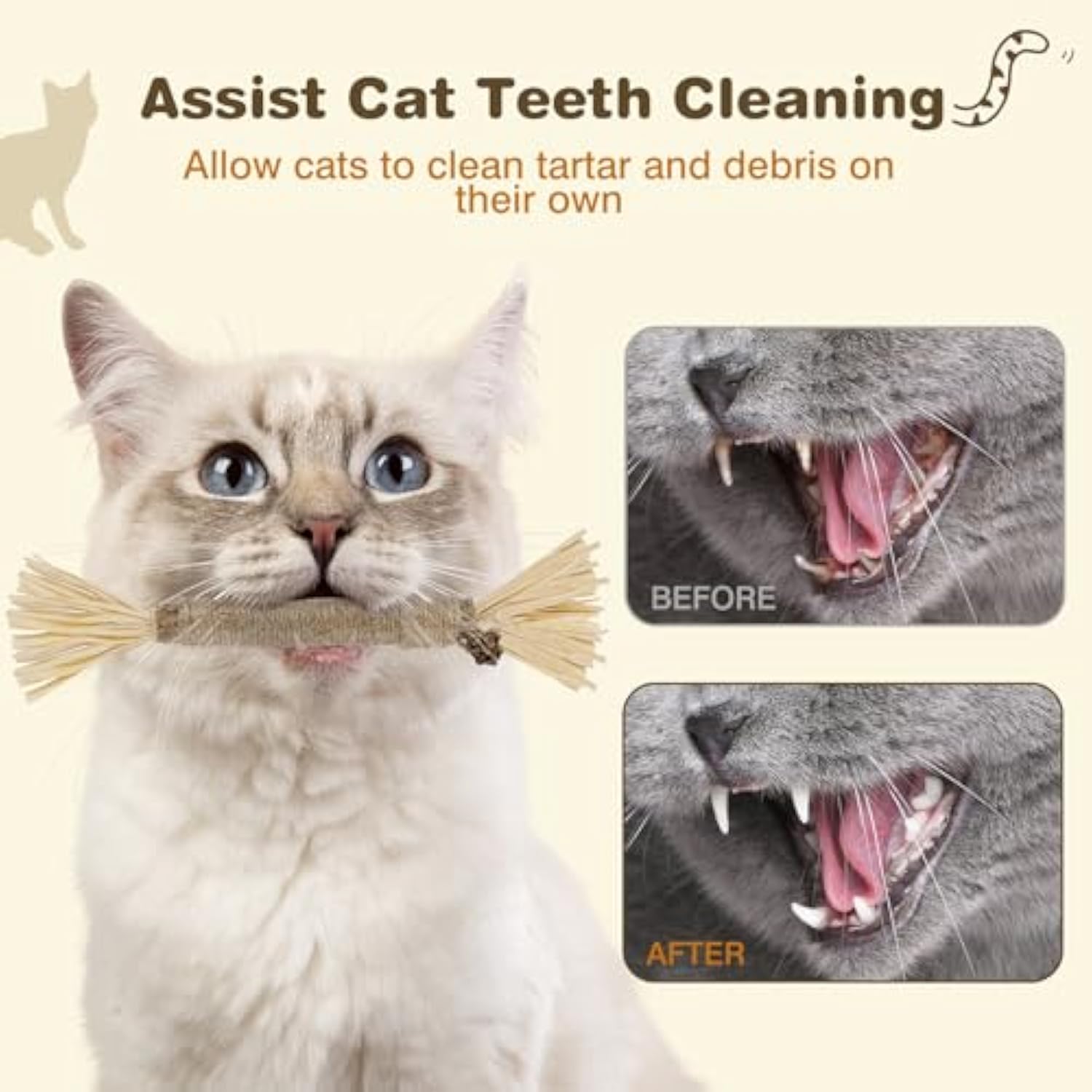 Silvervine Sticks for Cats — 3-Pack Natural Dental Chew