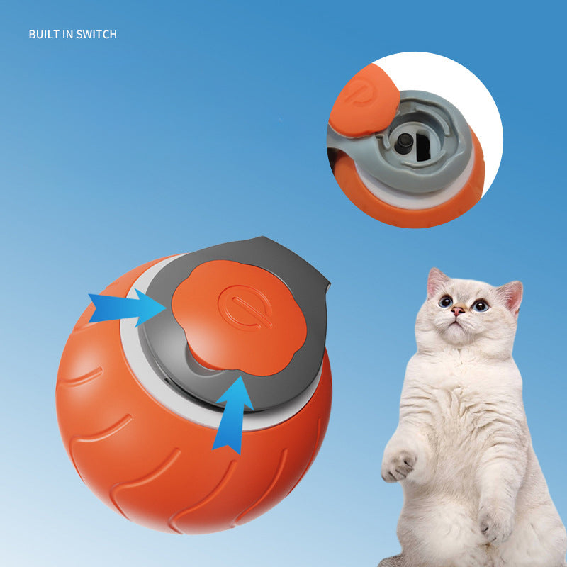 Speedy Tail Interactive Cat Ball Toy for Indoor Cats