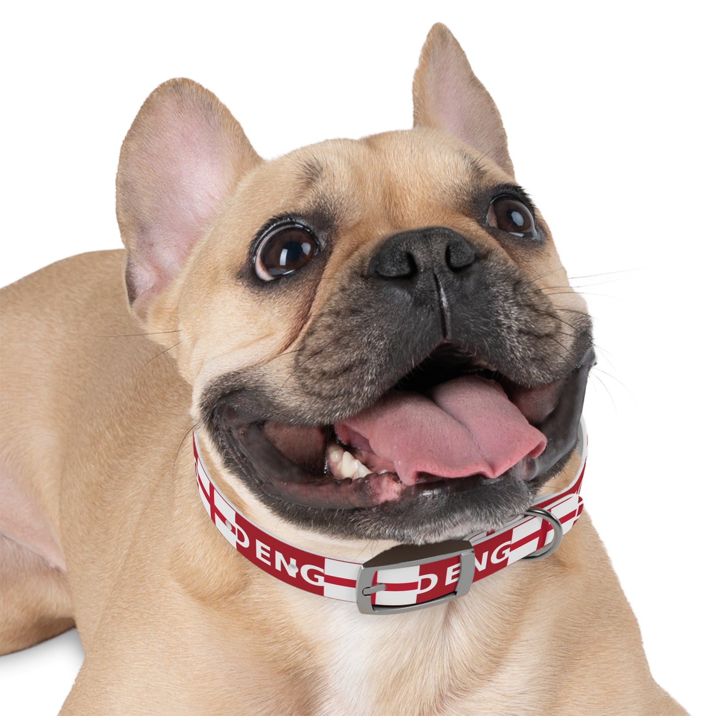 World Cup Dog Collar - England