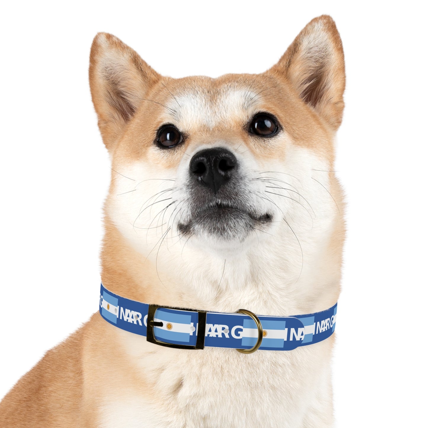 World Cup Dog Collar - Argentina