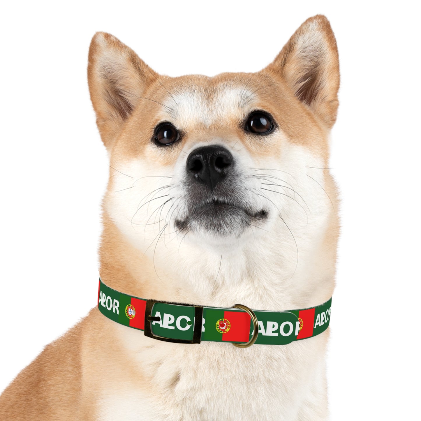 World Cup Dog Collar - Portugal