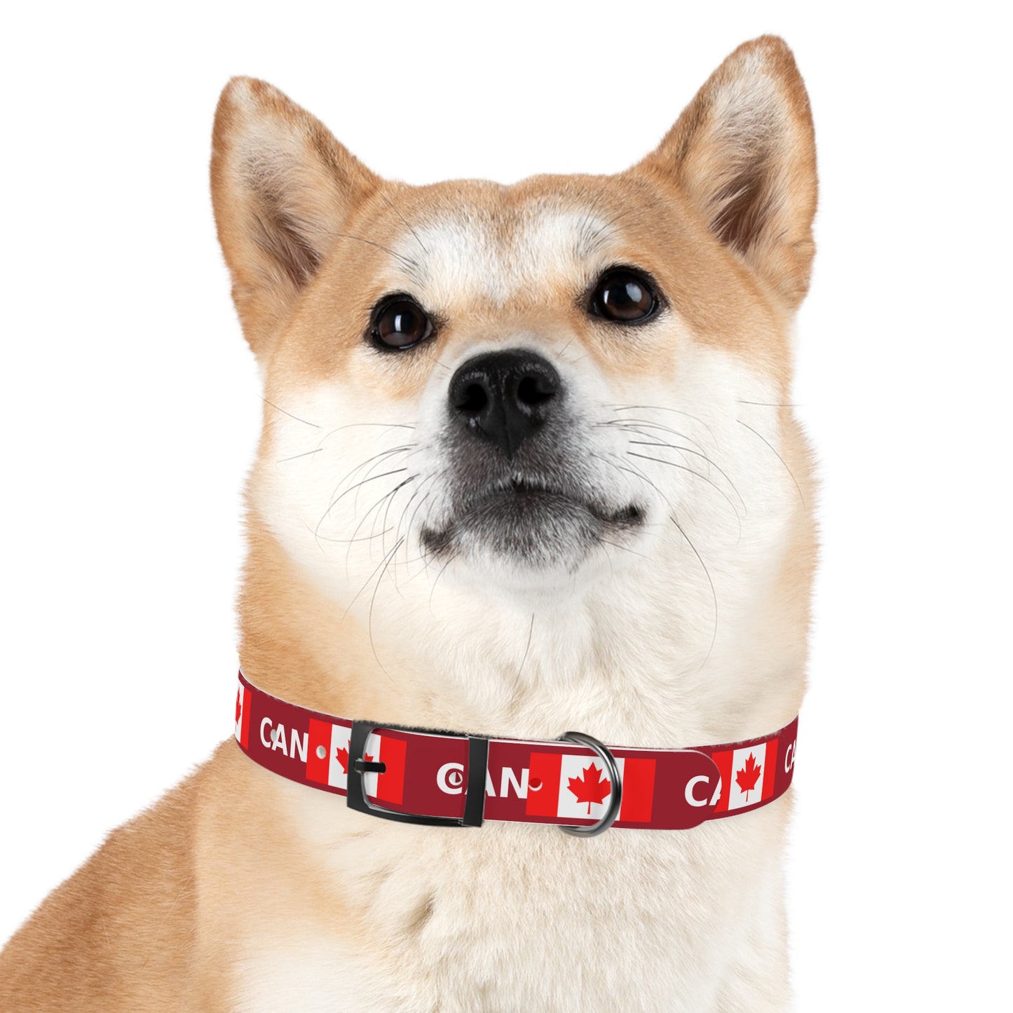 World Cup Dog Collar - Canada