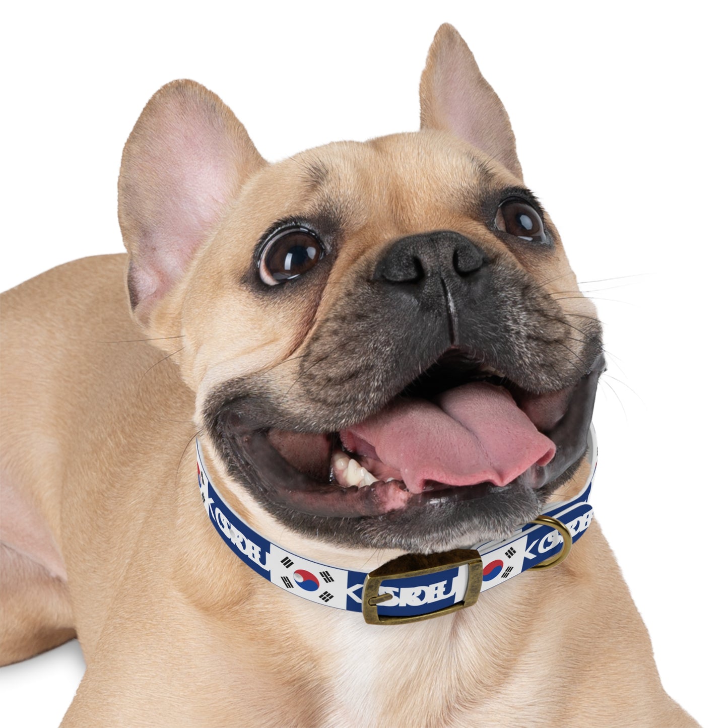 World Cup Dog Collar - South Korea
