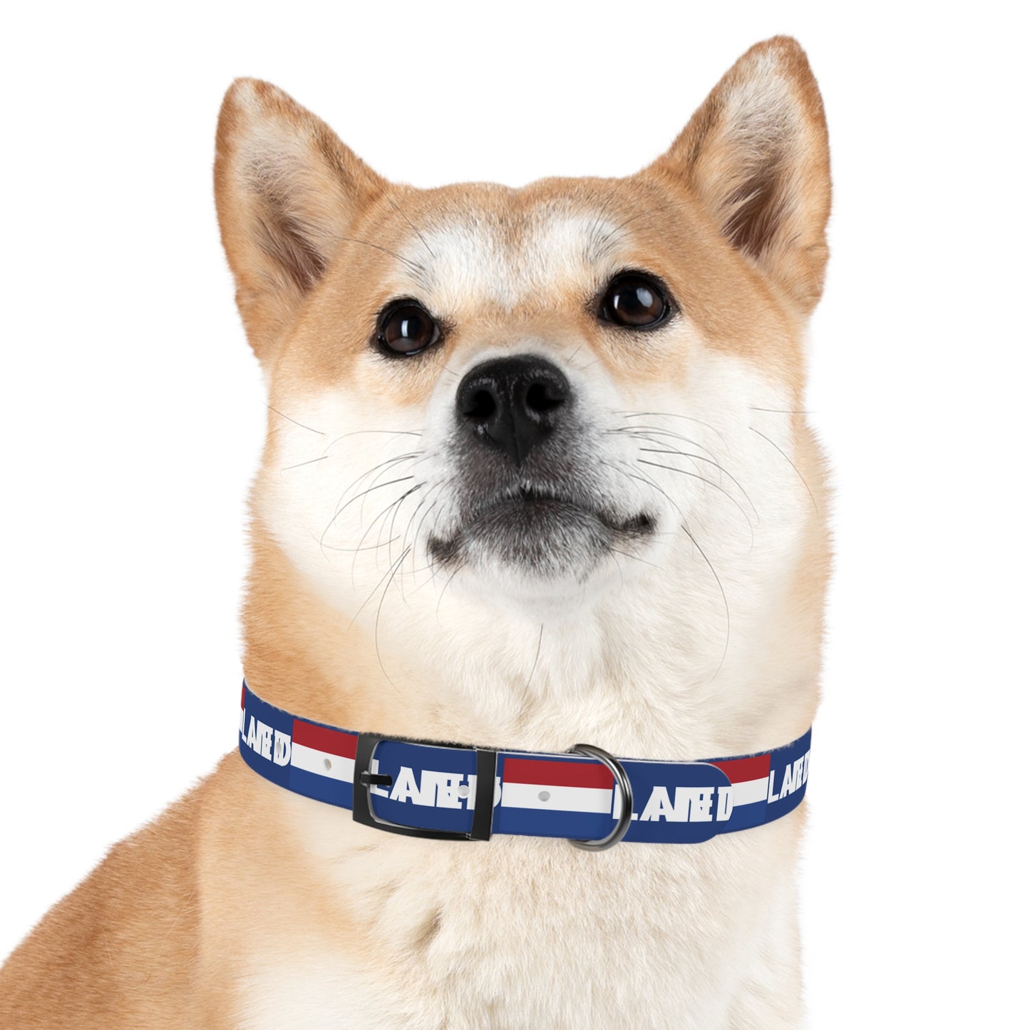 World Cup Dog Collar - Netherlands