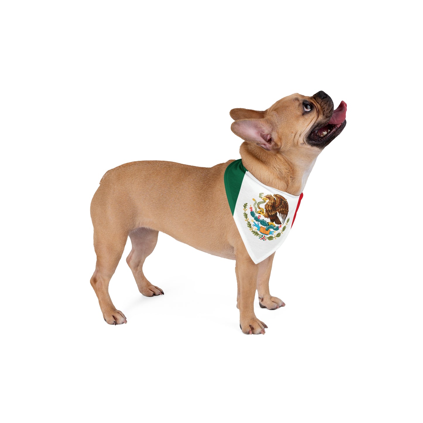 Soccer Fan Pet Bandana — Mexico