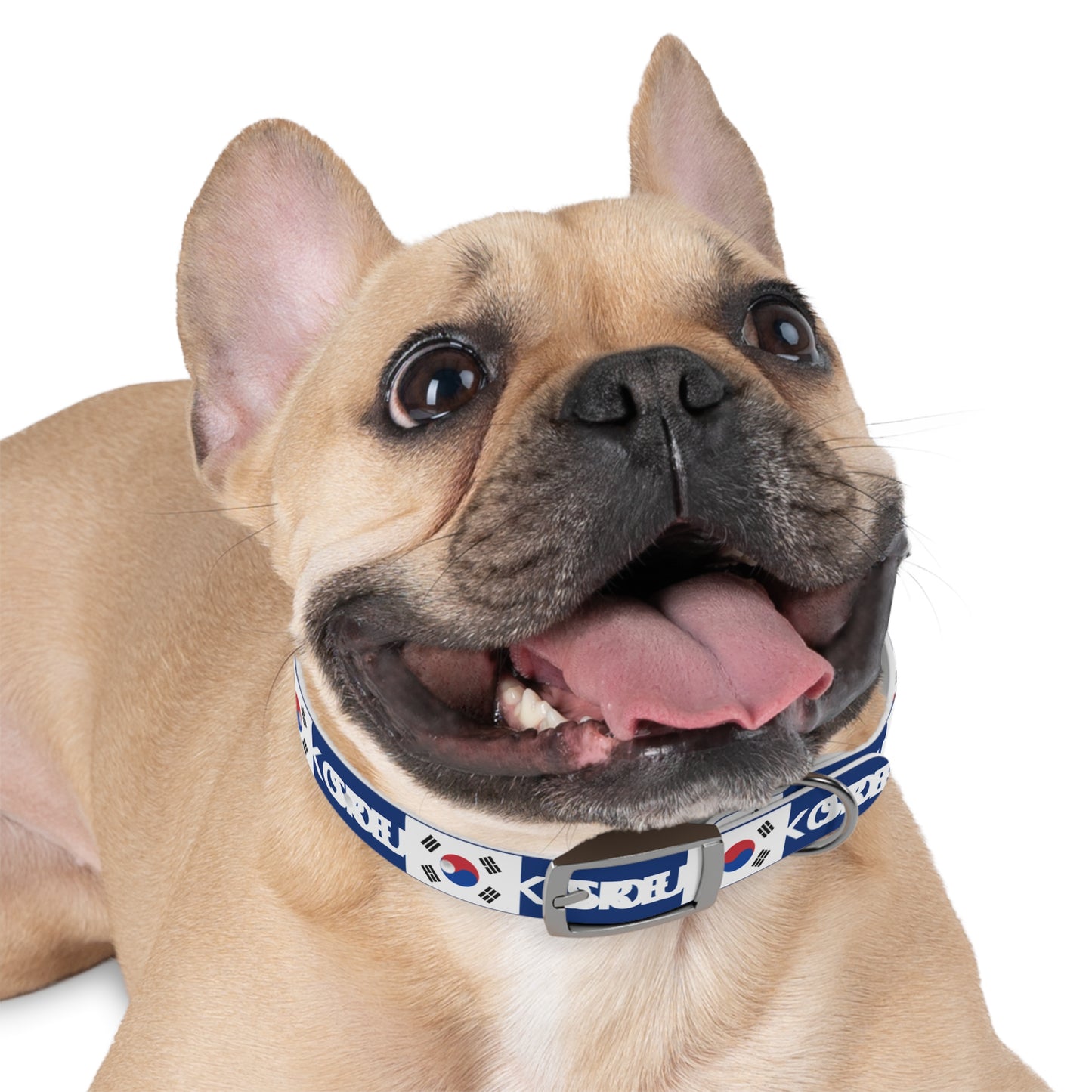 World Cup Dog Collar - South Korea