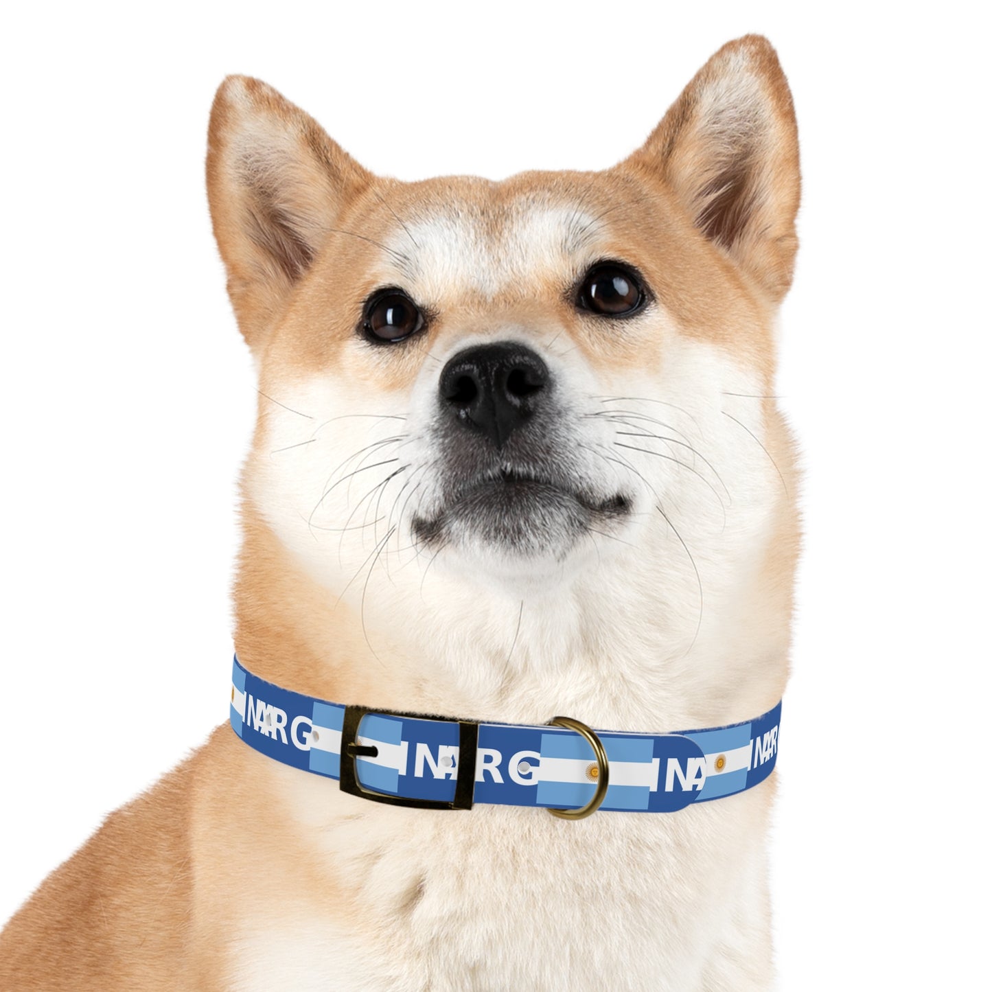 World Cup Dog Collar - Argentina