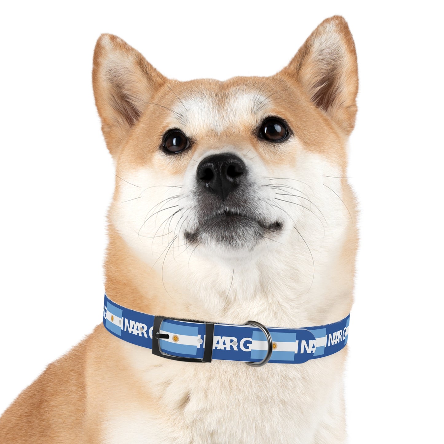 World Cup Dog Collar - Argentina