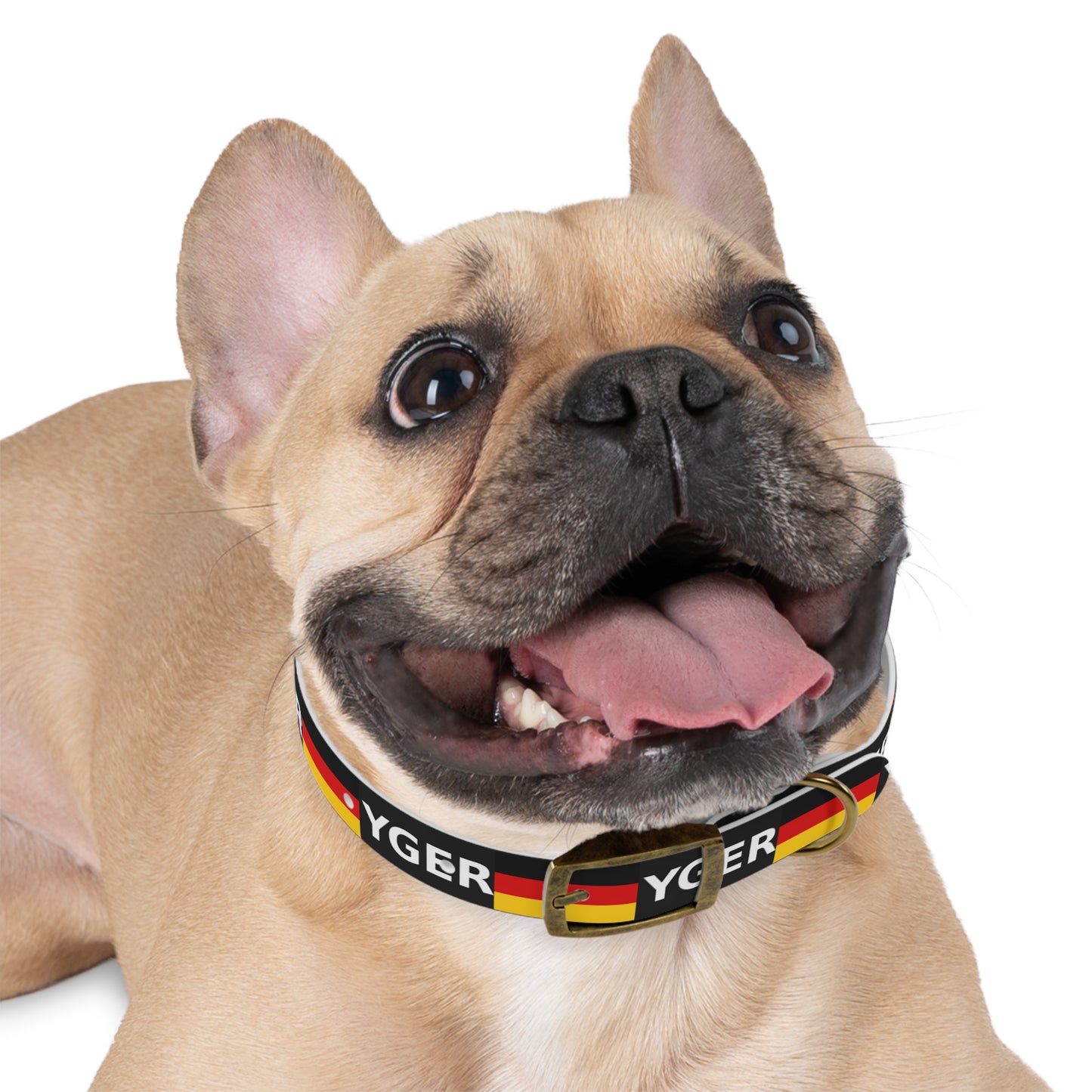 World Cup Dog Collar - Germany