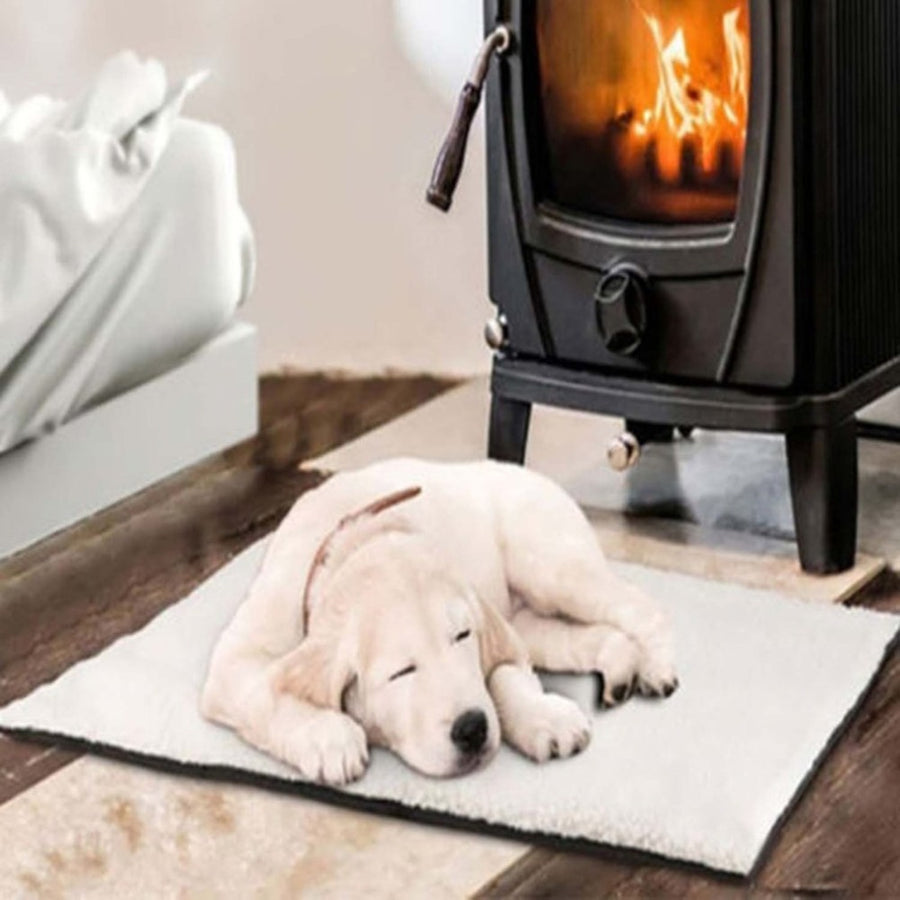 Self-Heating Dog and Cat Blanket