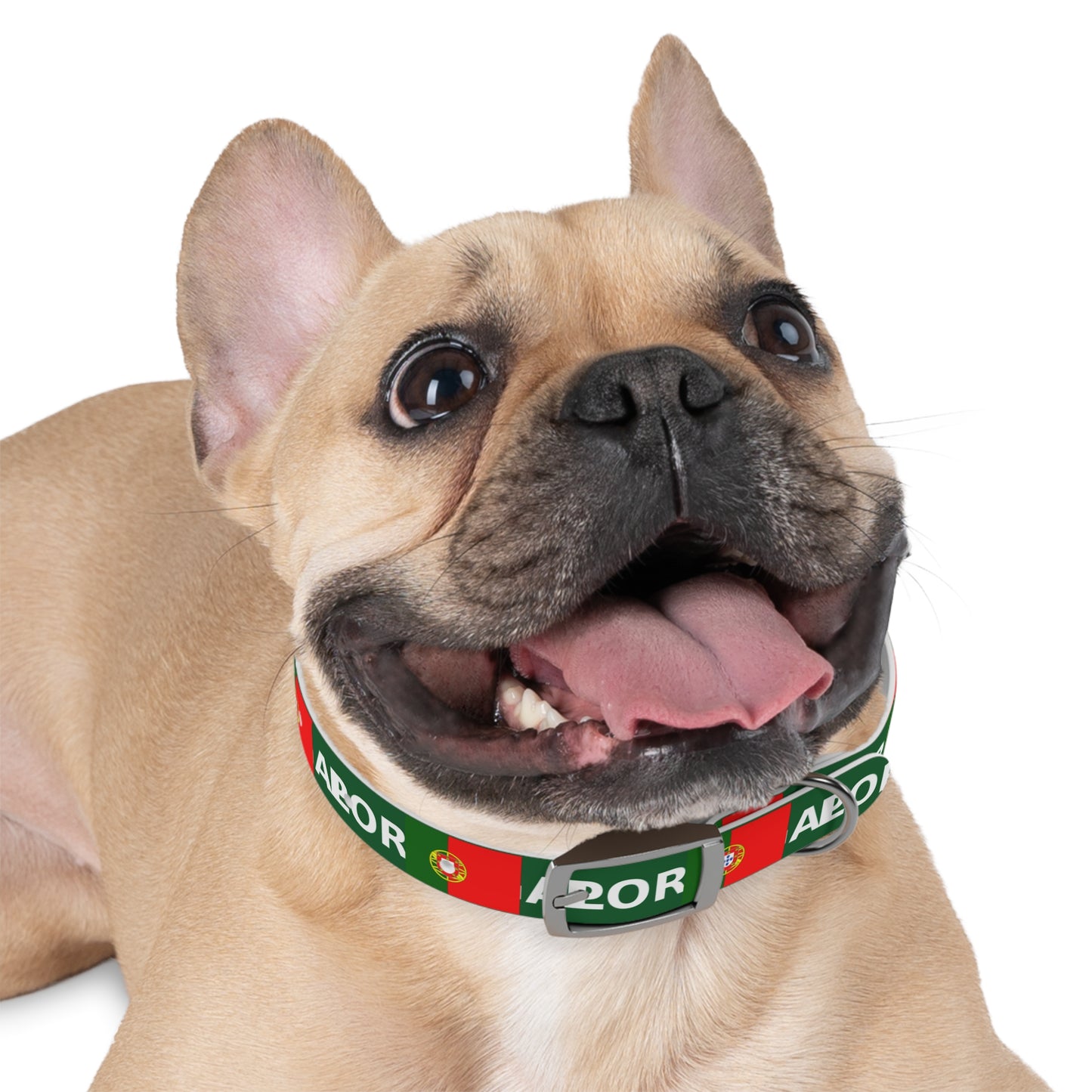 World Cup Dog Collar - Portugal