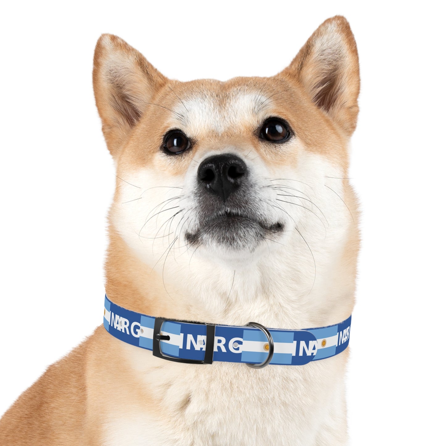 World Cup Dog Collar - Argentina