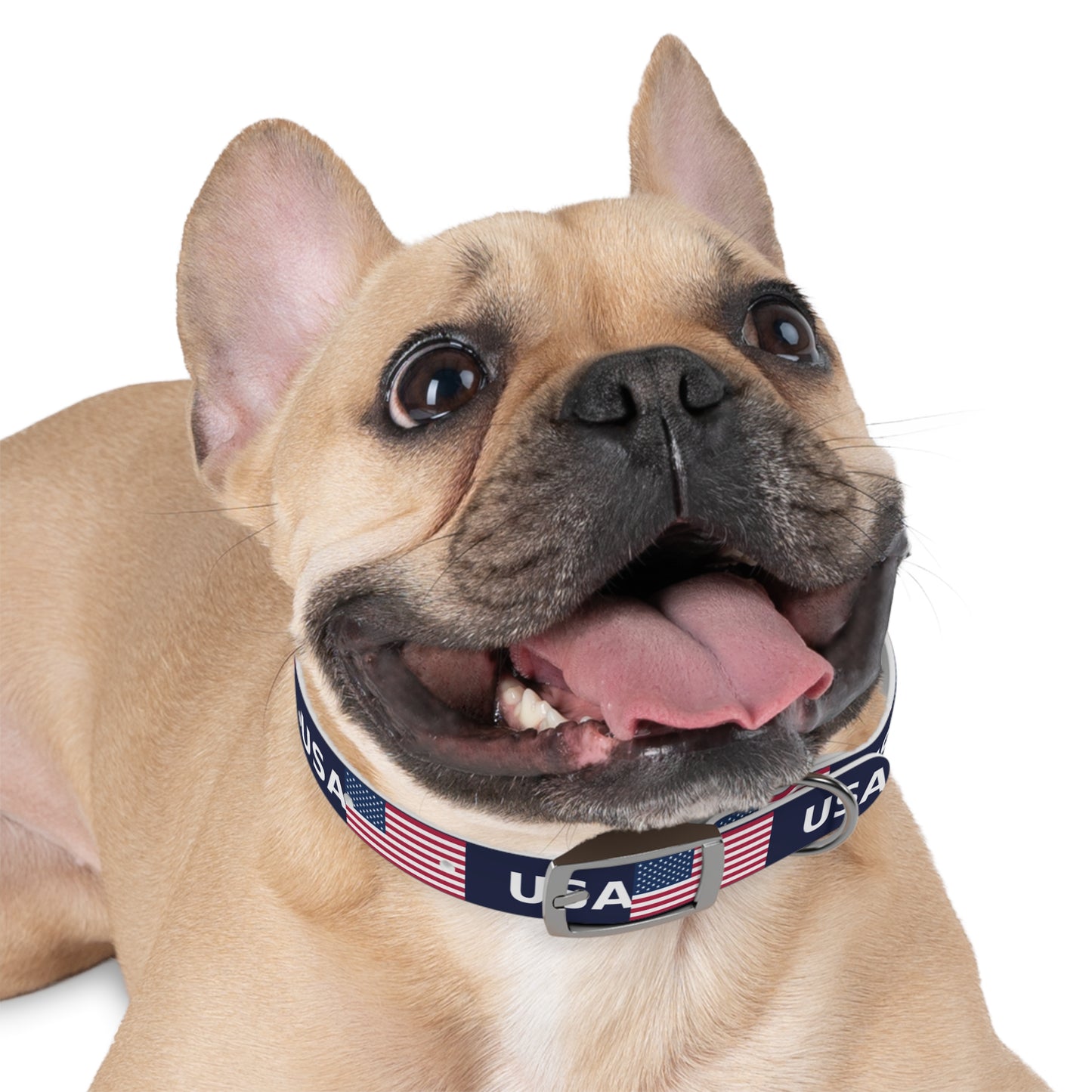 World Cup Dog Collar - USA