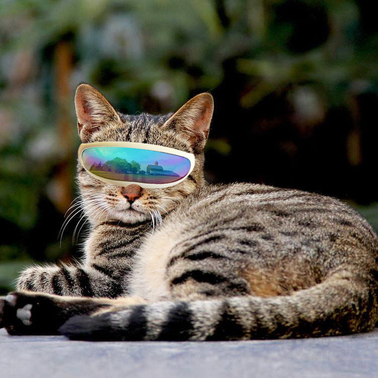 Dog Goggles UV Sunglasses for Small Dogs & Cats