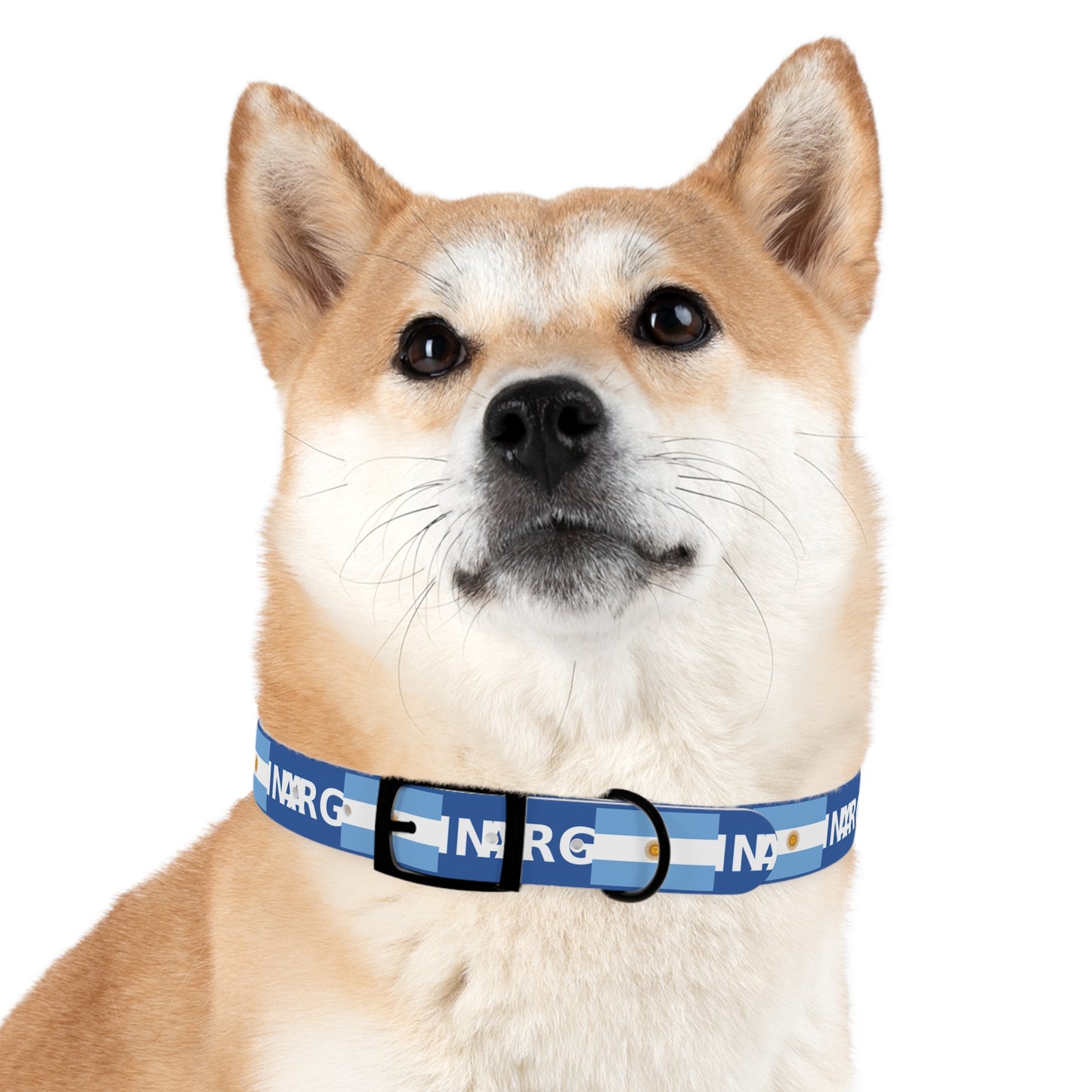 World Cup Dog Collar - Argentina