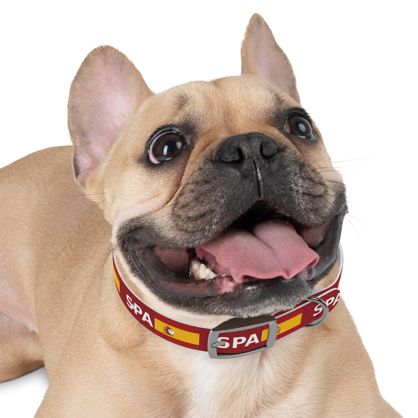 World Cup Dog Collar - Spain