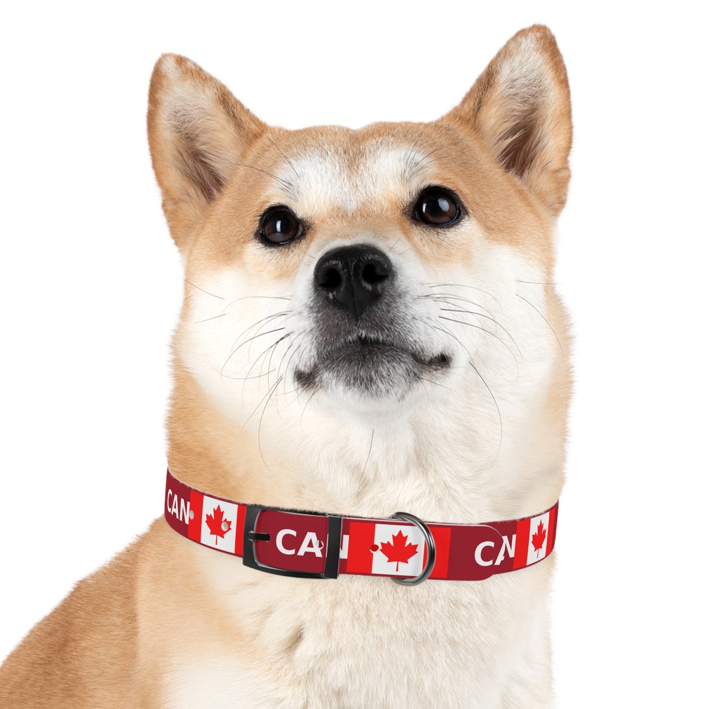 World Cup Dog Collar - Canada