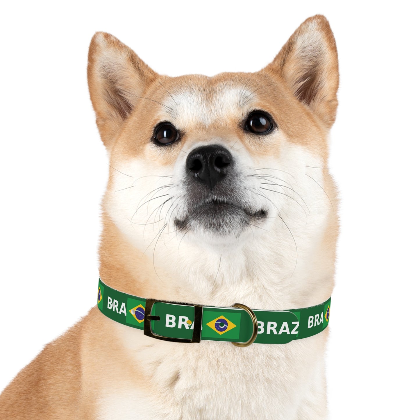 World Cup Dog Collar - Brazil
