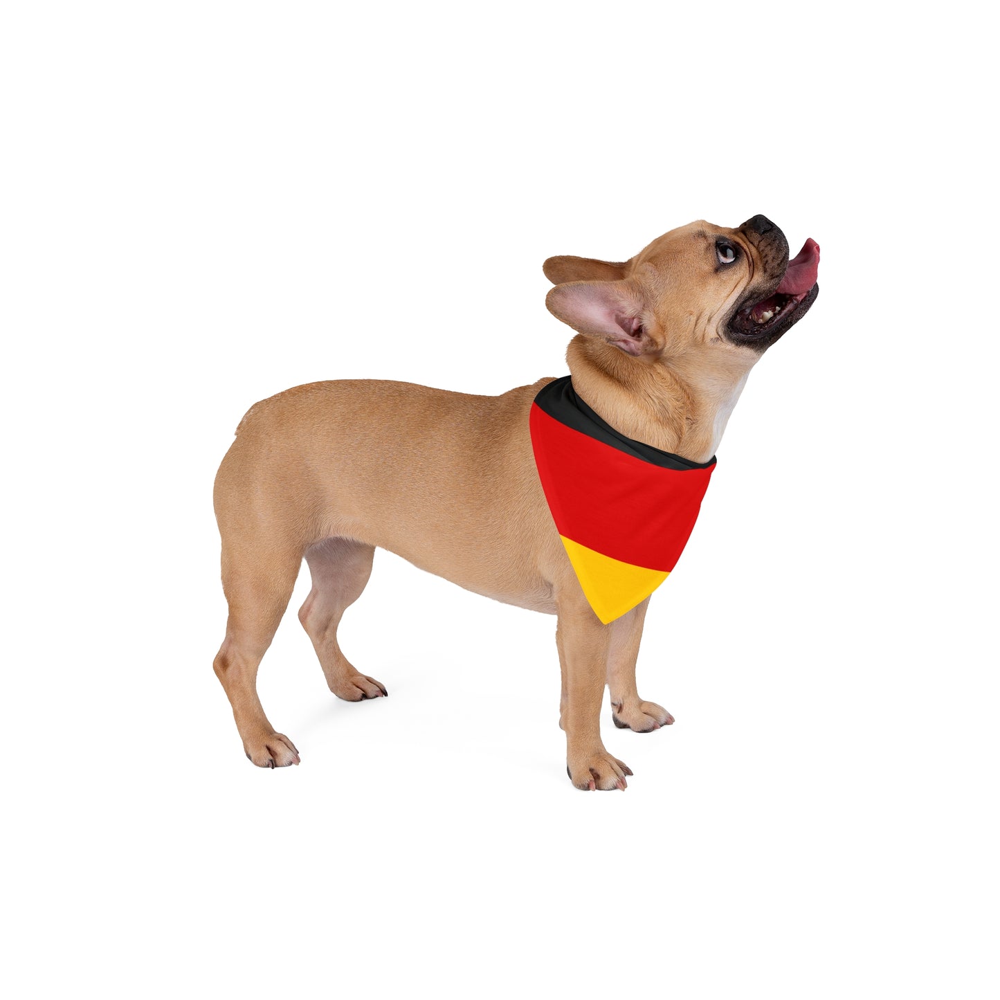 Soccer Fan Pet Bandana — Germany