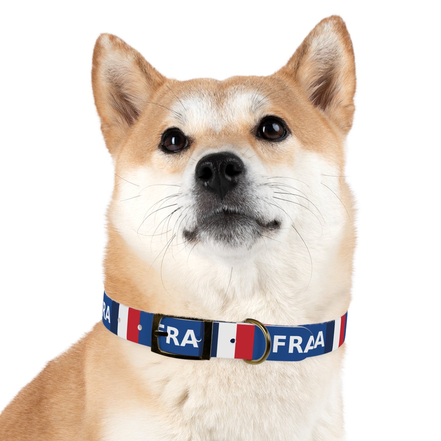 World Cup Dog Collar - France