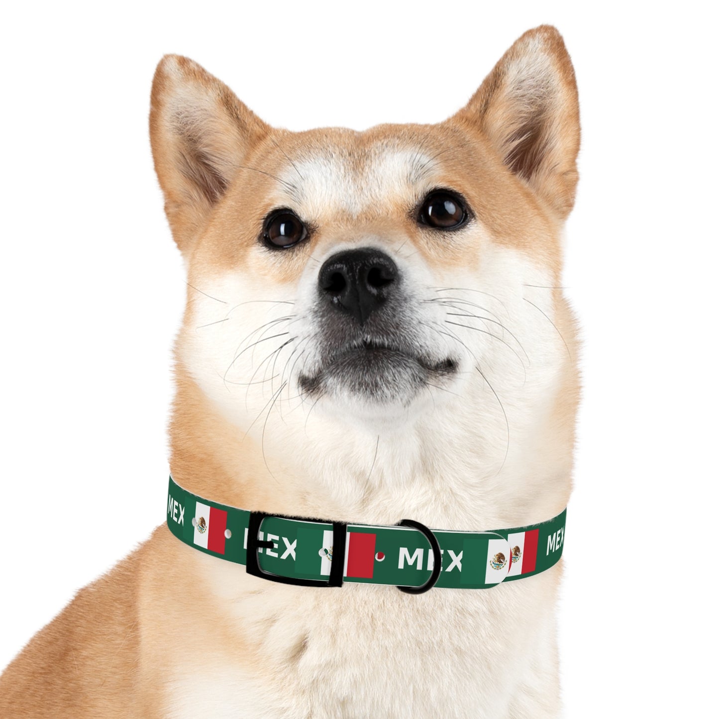 World Cup Dog Collar - Mexico
