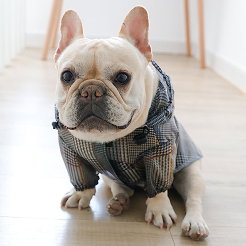 Plaid Dog Raincoat — Waterproof Tear-Resistant Coat