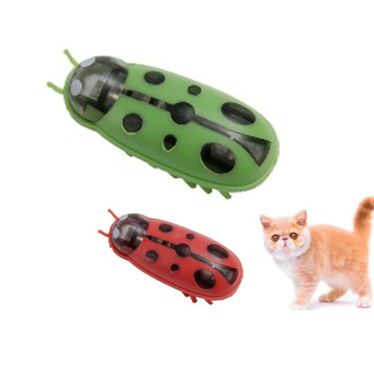 Electric Ladybug Cat Toy — Self-Moving Interactive Fun