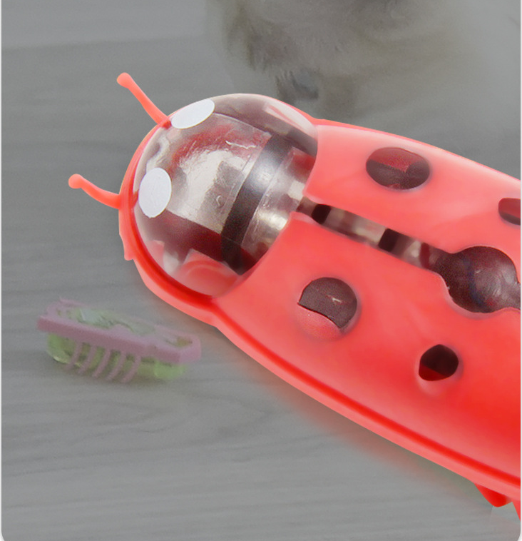 Electric Ladybug Cat Toy — Self-Moving Interactive Fun