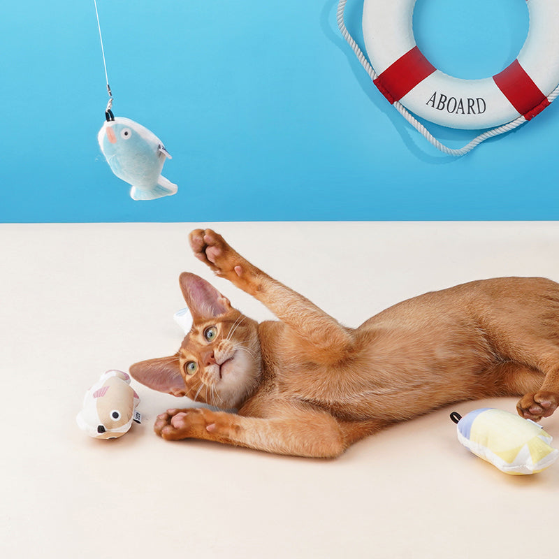 Retractable Cat Teaser & Molar Chew Toy for Playful Cats