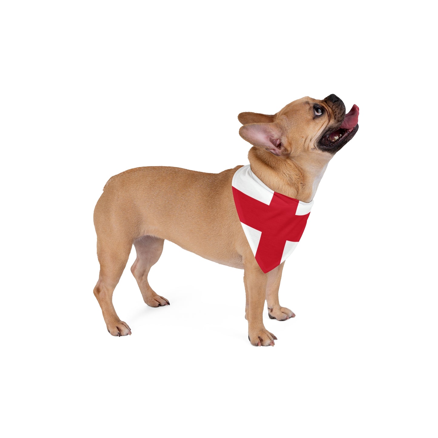 Soccer Fan Pet Bandana — England