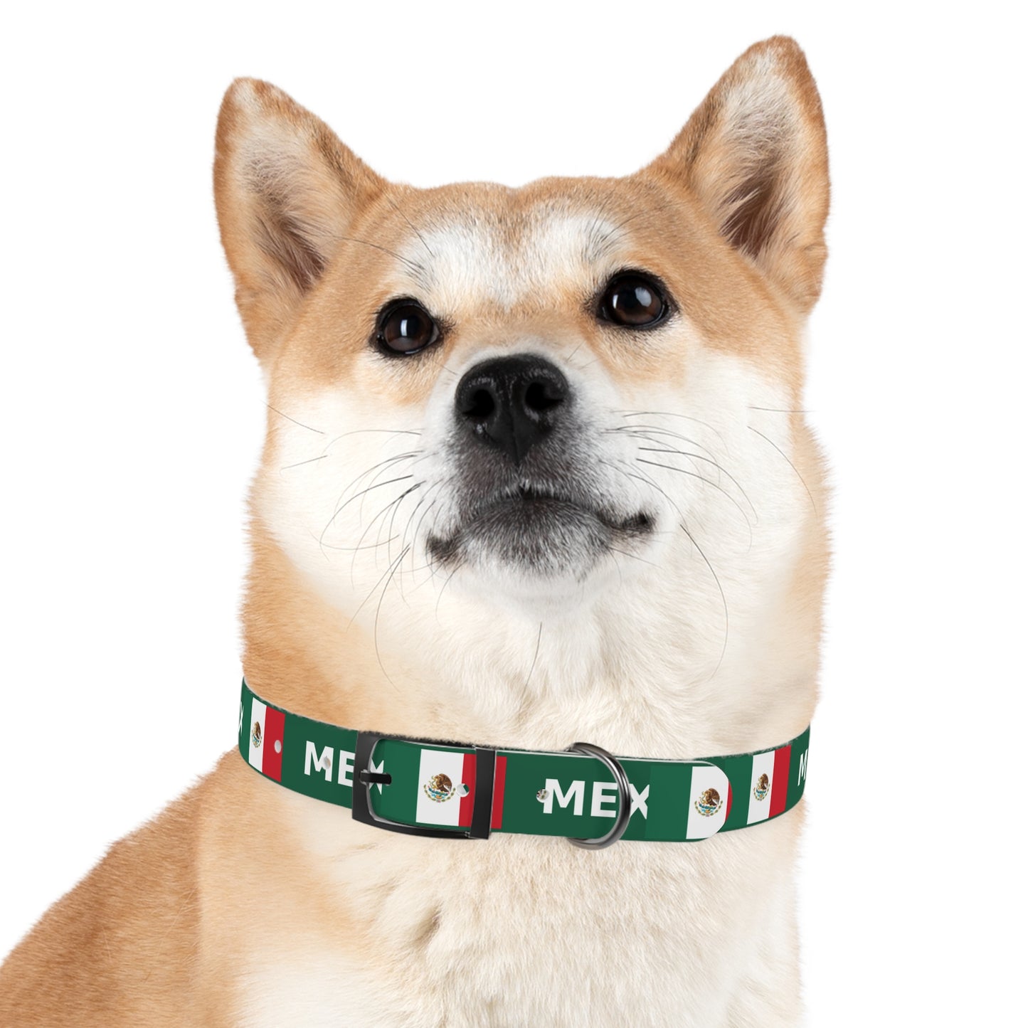 World Cup Dog Collar - Mexico