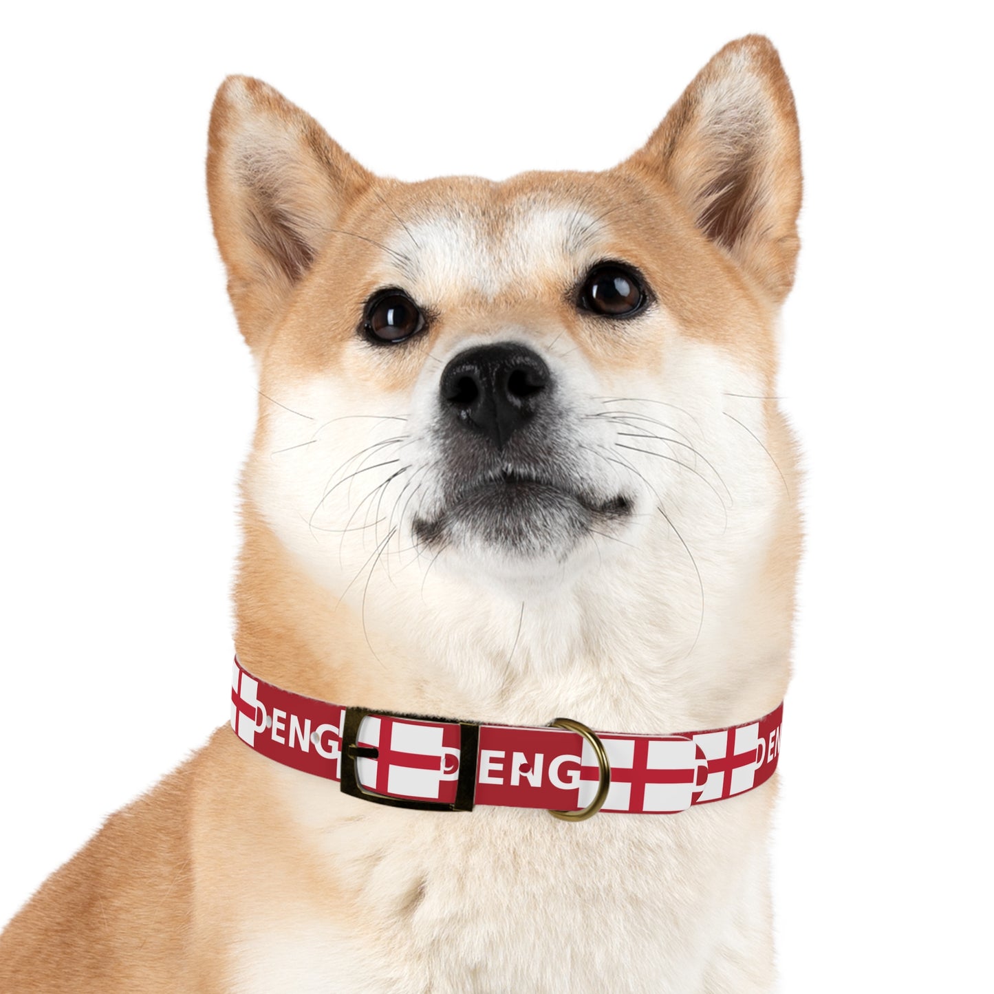World Cup Dog Collar - England
