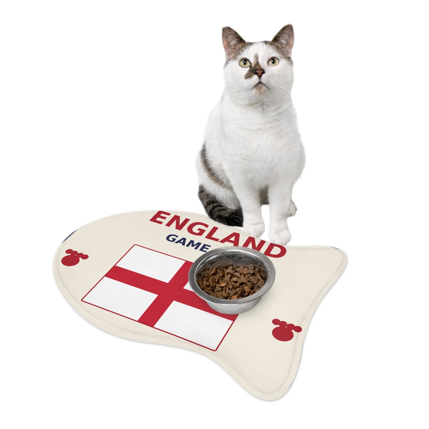 World Cup Pet Feeding Mat - England