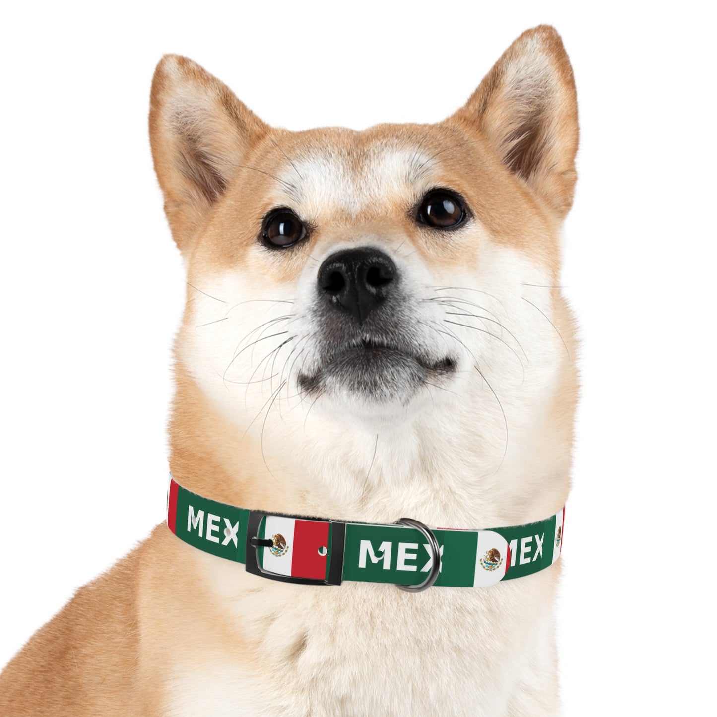 World Cup Dog Collar - Mexico