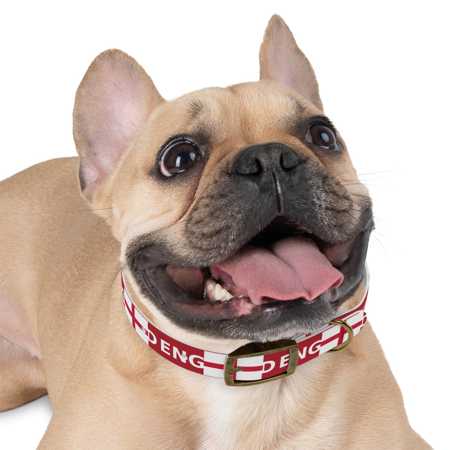 World Cup Dog Collar - England