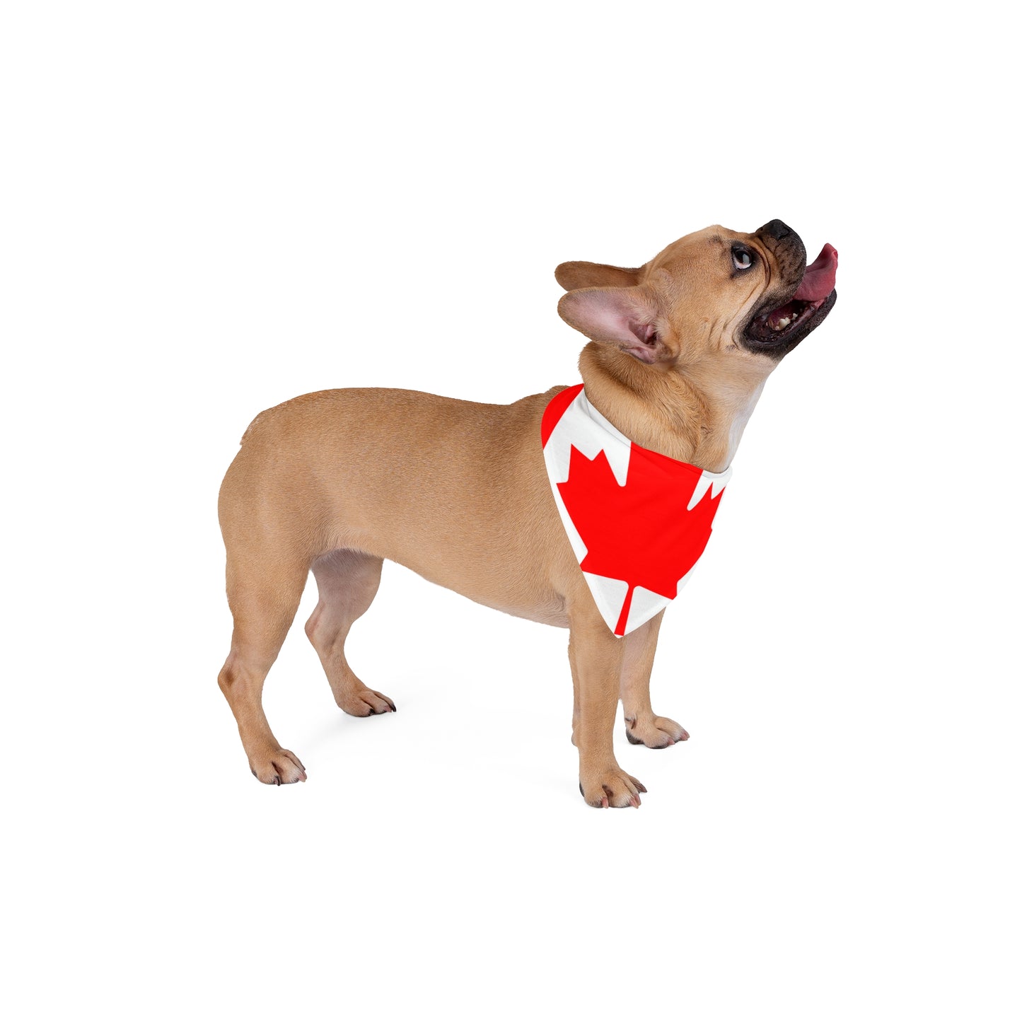 Soccer Fan Pet Bandana — Canada