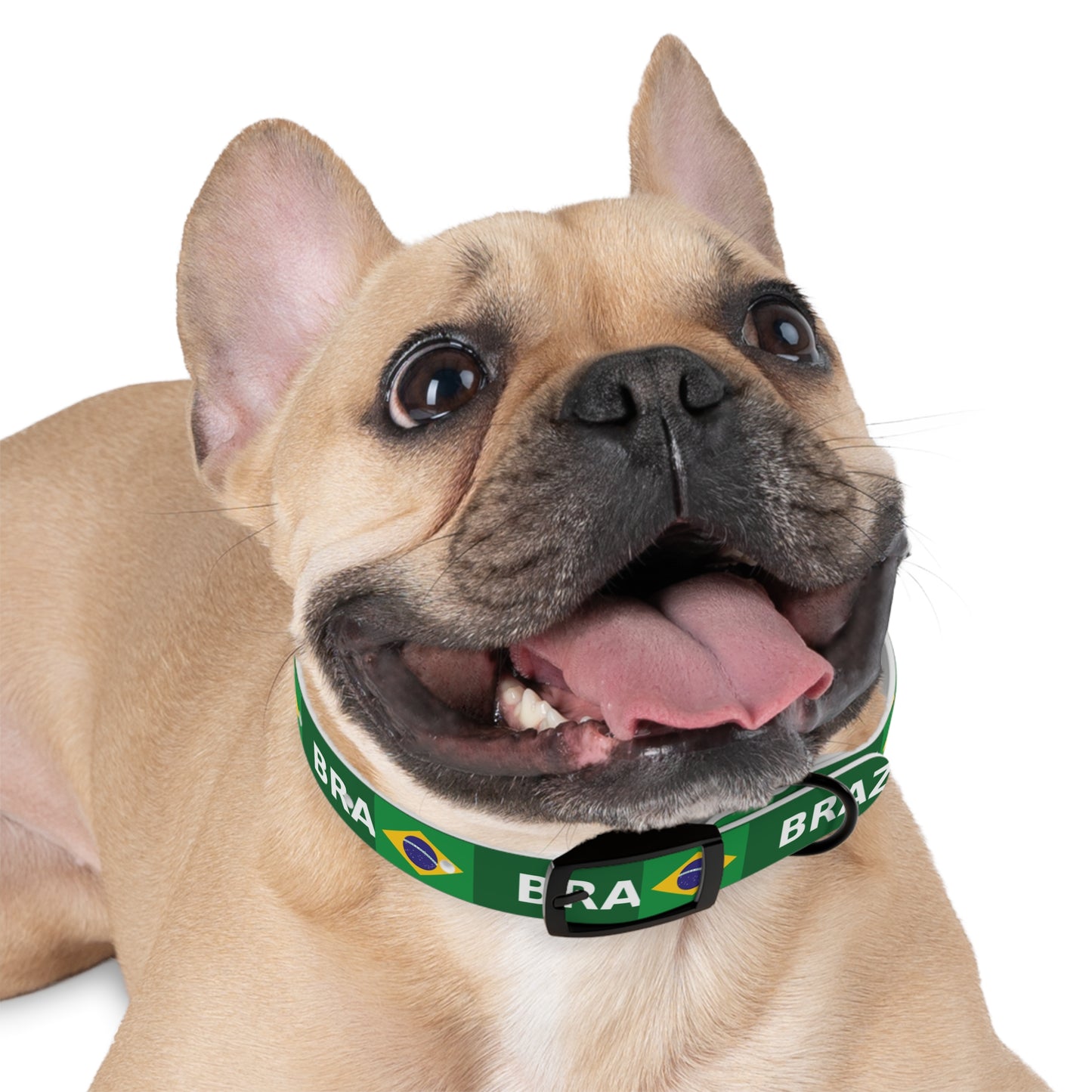 World Cup Dog Collar - Brazil