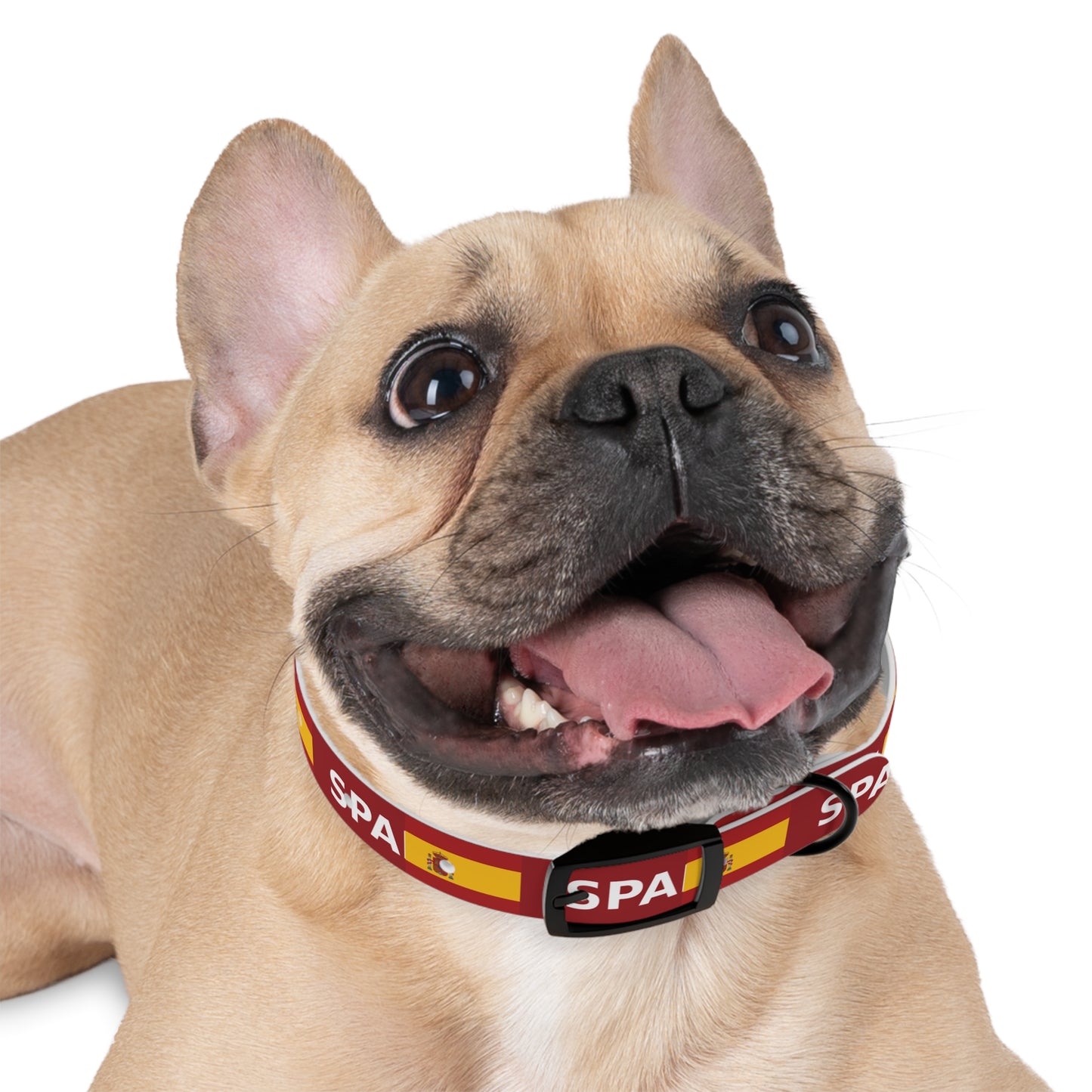 World Cup Dog Collar - Spain