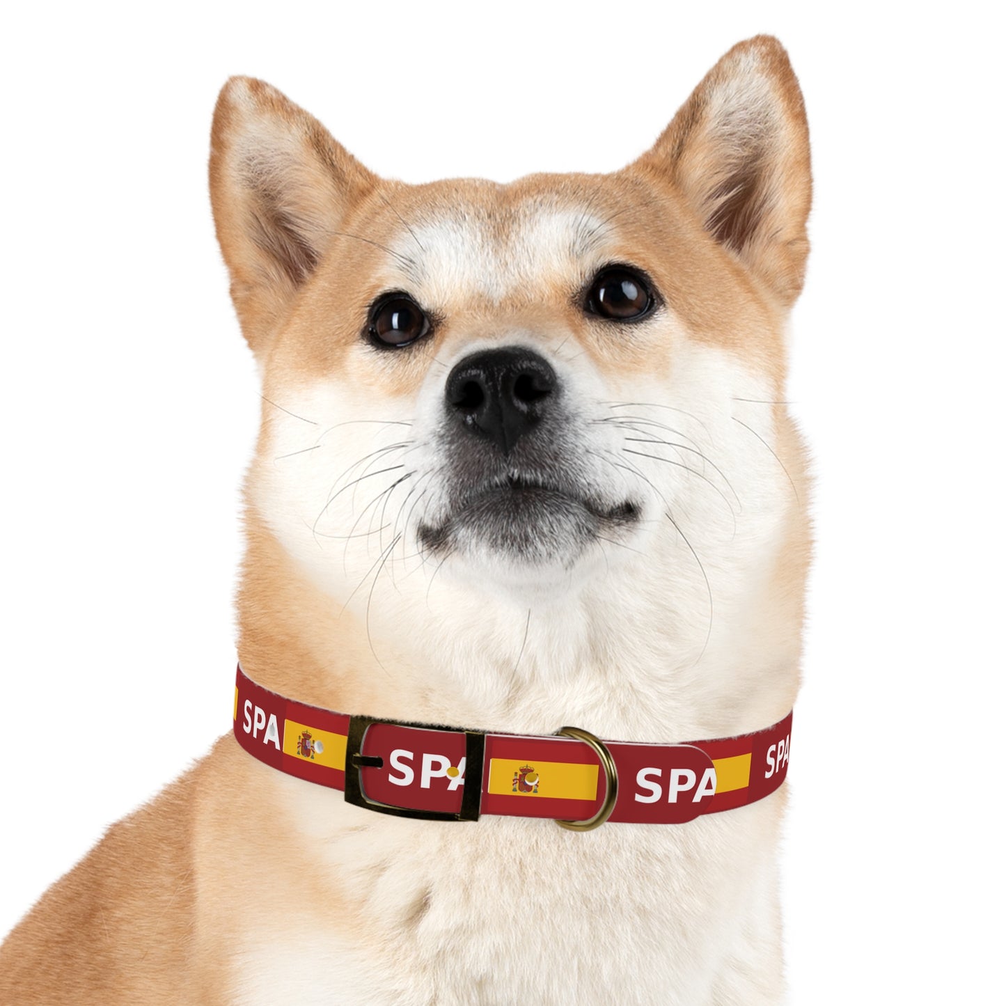 World Cup Dog Collar - Spain