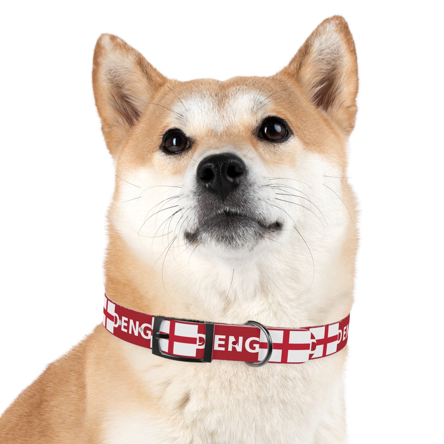 World Cup Dog Collar - England