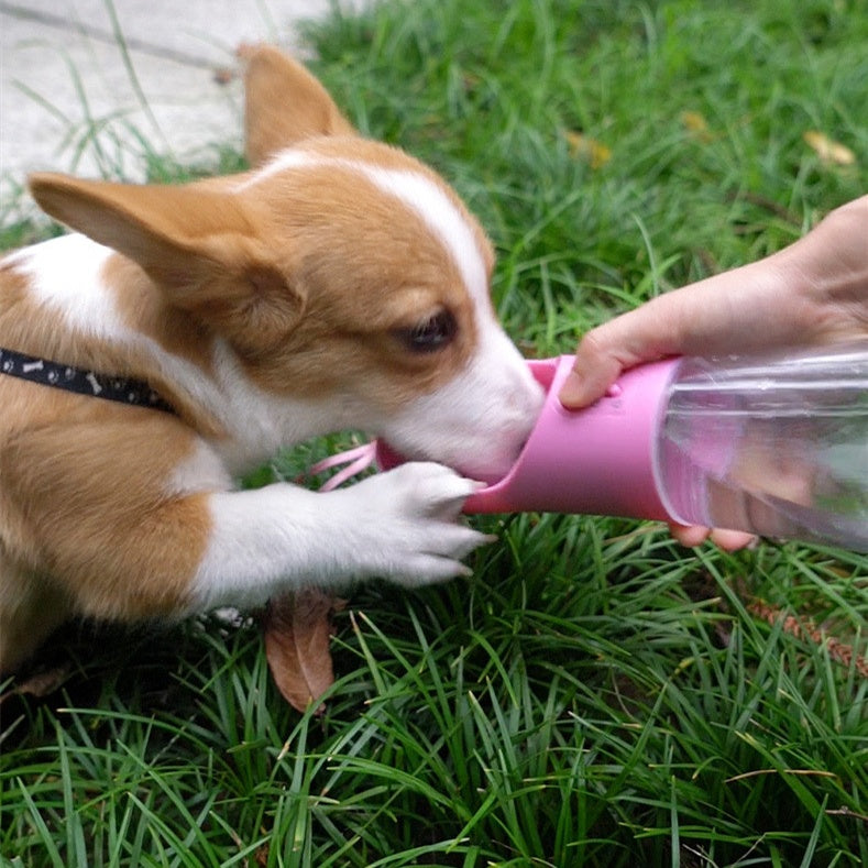 Portable Dog Water Bottle: Leak-Proof Travel Dispenser & Bowl - photo 3