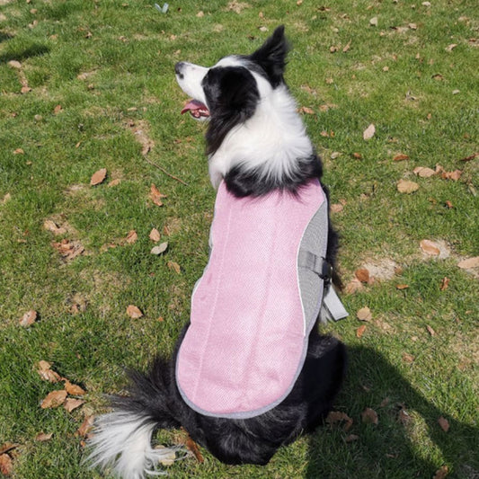 Dog Cooling Vest – Summer Heat Relief for Walks & Hikes