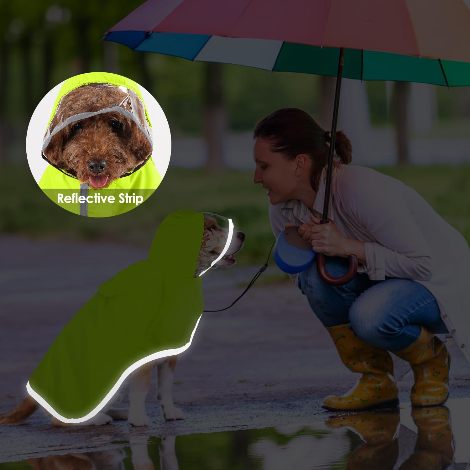 Hooded Dog Raincoat with Clear Visor Cap for Small Dogs