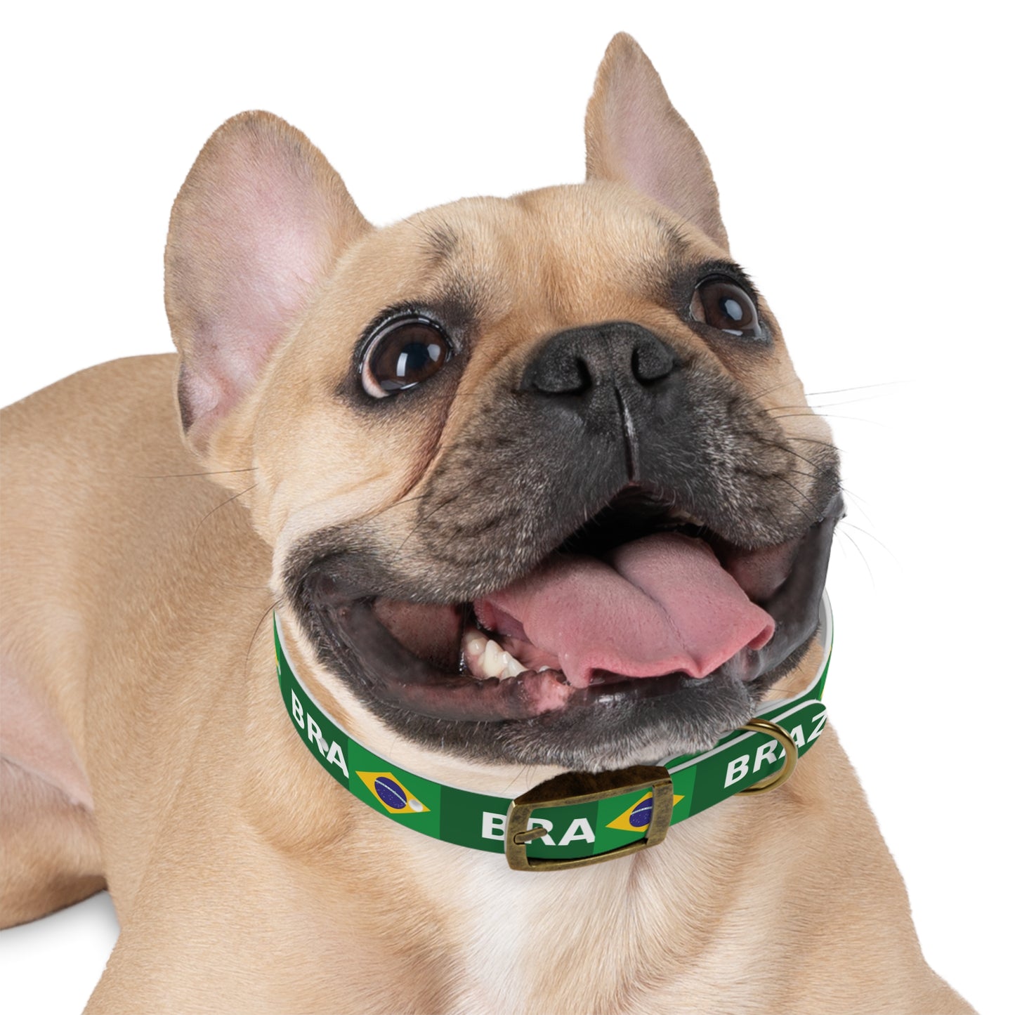 World Cup Dog Collar - Brazil