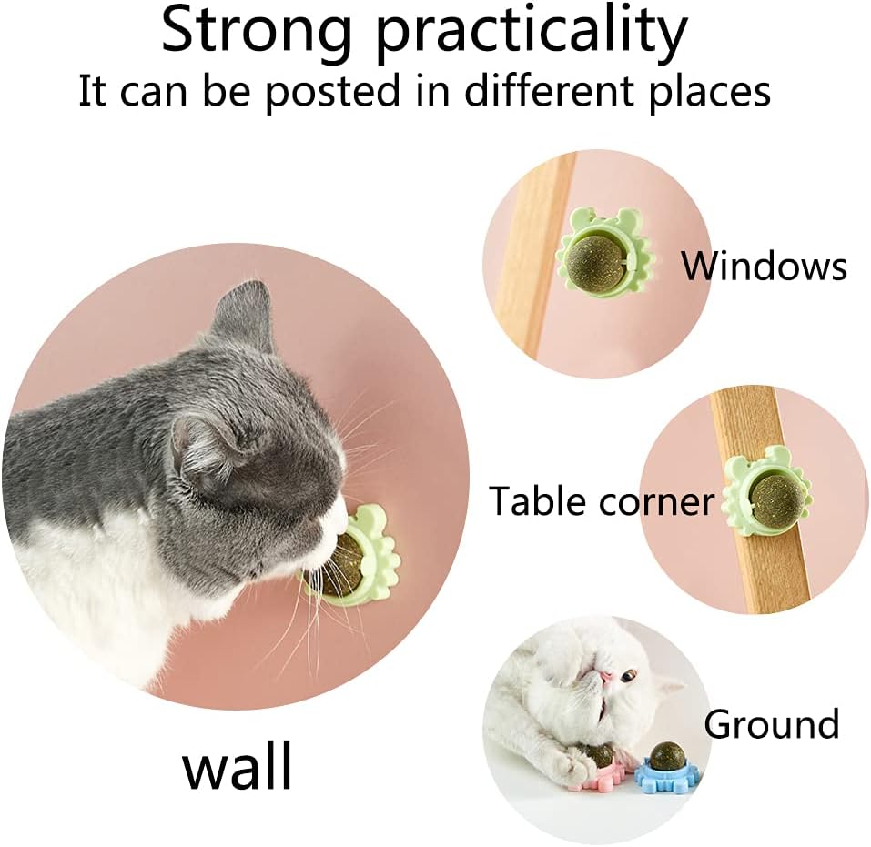 Catnip Wall Balls for Cats — Edible Licking & Teeth-Cleaning Toy